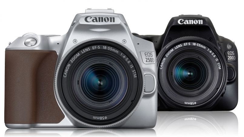 Спецификации и сроки анонса Canon EOS 250D Mark II